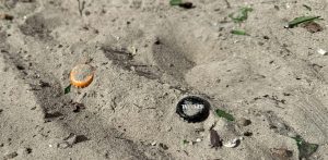 (fot. Radio Gdańsk/Filip Jędruch)