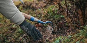 Wiosenne nasadzenia w Gdyni (fot. Marcin Mielewski/gdynia.pl)