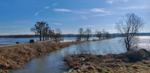 Rozlewisko powstałe na skutek roztopów. Bągart, 01.03.2026 r. (fot. Wody Polskie RZGW w Gdańsku)