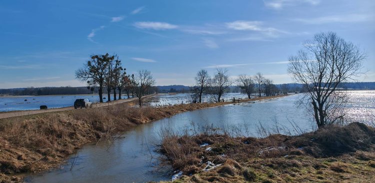Rozlewisko powstałe na skutek roztopów. Bągart, 01.03.2026 r. (fot. Wody Polskie RZGW w Gdańsku)