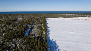 Postęp prac nad budową elektrowni (Fot. Polskie Elektrownie Jądrowe)