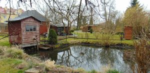 Rodzinne Ogrody Działkowe (fot. mat. UMWP)