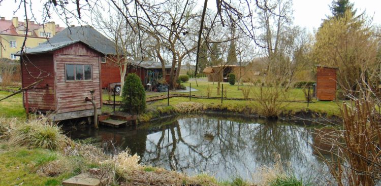 Rodzinne Ogrody Działkowe (fot. mat. UMWP)