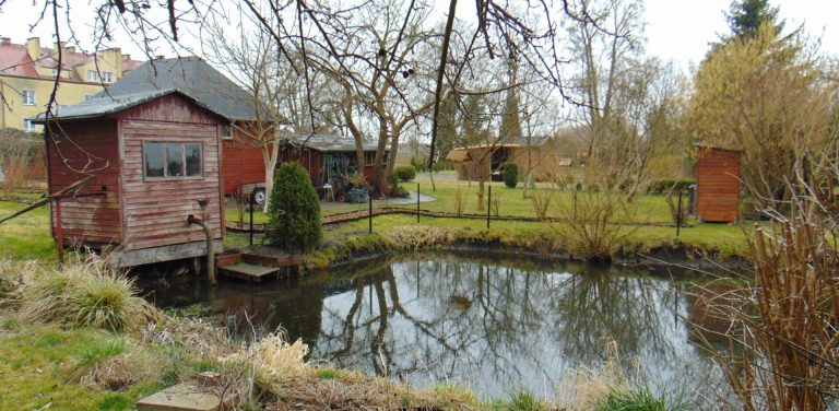 Rodzinne Ogrody Działkowe (fot. mat. UMWP)