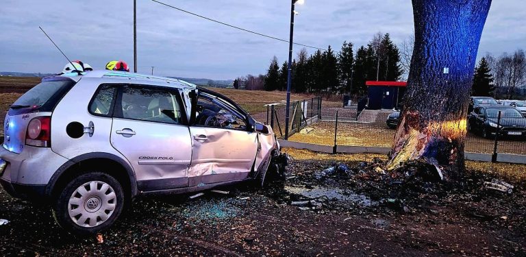 (fot. Straż Pożarna)