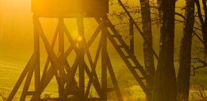 Zdjęcie ilustracyjne (fot. Radio Gdańsk/Grzegorz Armatowski)