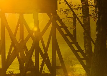 Zdjęcie ilustracyjne (fot. Radio Gdańsk/Grzegorz Armatowski)