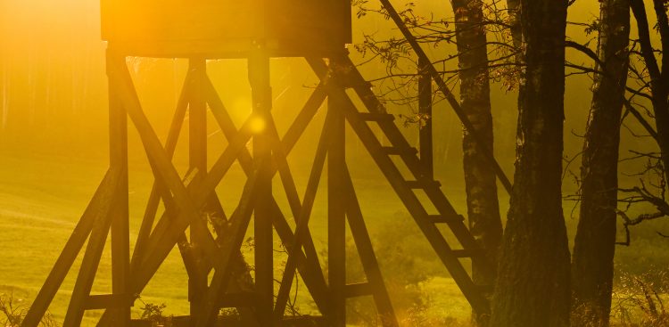 Zdjęcie ilustracyjne (fot. Radio Gdańsk/Grzegorz Armatowski)