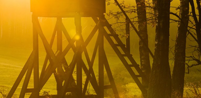 Zdjęcie ilustracyjne (fot. Radio Gdańsk/Grzegorz Armatowski)