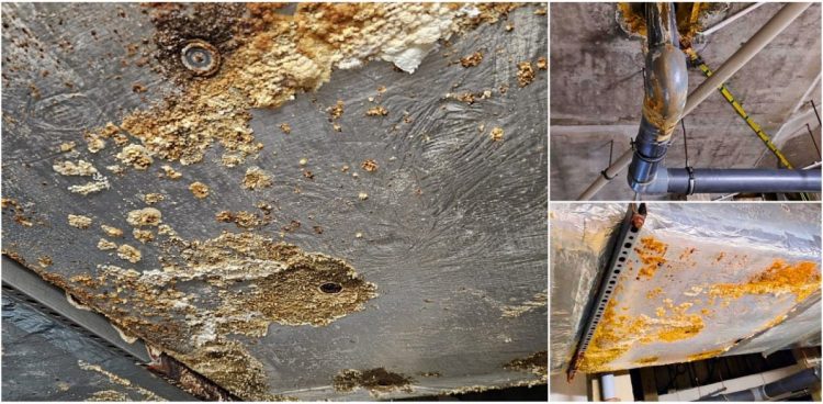 (fot. arch. Rady Miejskiej Bytowa)