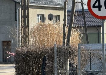 Tuż przed zakrętem w Dębnicy Kaszubskiej obowiązuje ograniczenie prędkości do 40 km/h (fot. Radio Gdańsk/Łukasz Kosik)