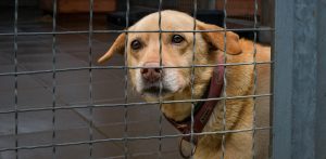 Zdjęcie ilustracyjne (Fot. Radio Gdańsk/Pola Malańska)