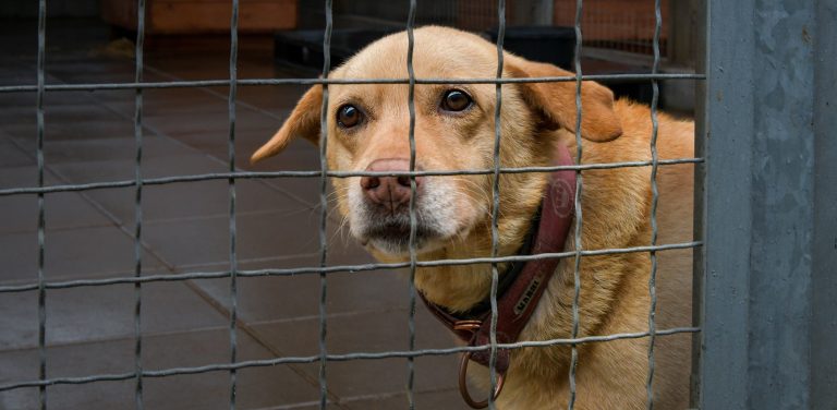 Zdjęcie ilustracyjne (Fot. Radio Gdańsk/Pola Malańska)