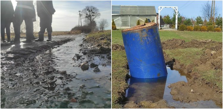 (fot. Marcin Frygier)