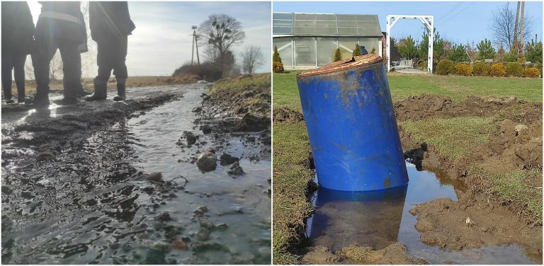 (fot. Marcin Frygier)