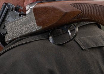 Zdjęcie ilustracyjne (Fot. Pixabay)