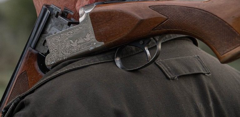 Zdjęcie ilustracyjne (Fot. Pixabay)