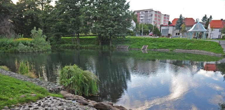 Potok Karlikowski (fot. Zarząd Dróg i Zieleni w Sopocie)