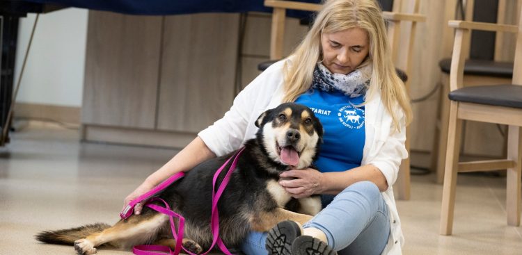 (fot. gdansk.pl/Grzegorz Mehring)