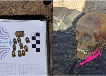 (fot. Fundacja Latebra)