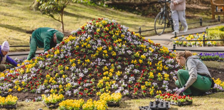 (fot. gdansk.pl/Dominik Paszliński)