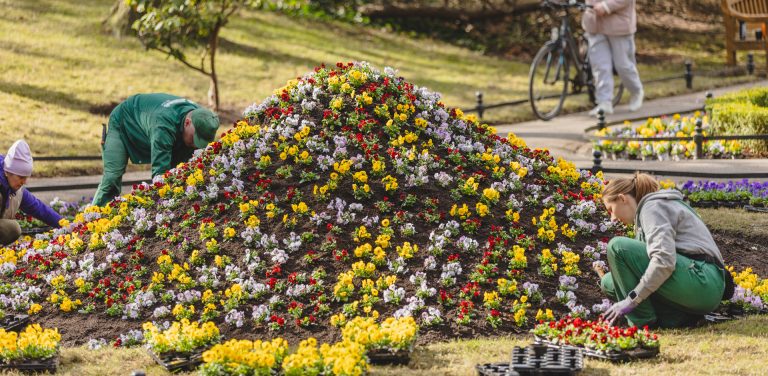 (fot. gdansk.pl/Dominik Paszliński)