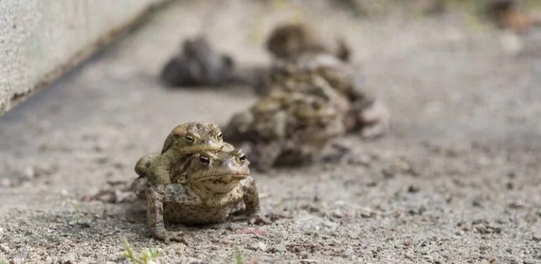 (fot. gdansk.pl/Jerzy Pinkas)