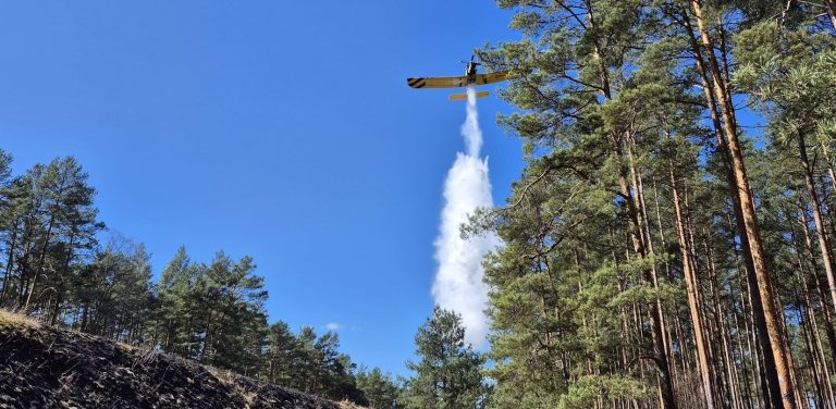 (fot. Nadleśnictwo Czersk)