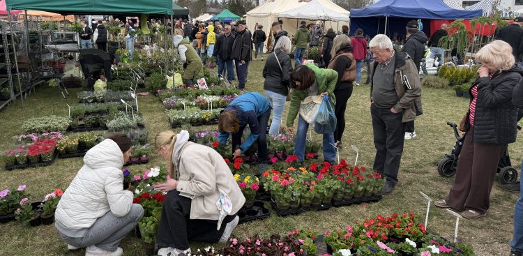 (fot. Radio Gdańsk/Robert Groth)