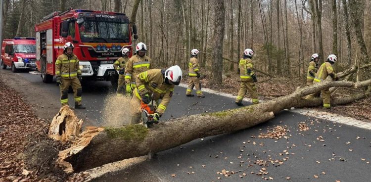 (Fot. OSP Biesowice)