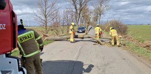 Droga pomiędzy Miłoradzem a Starą Kościelnicą (fot. OSP Miłoradz)