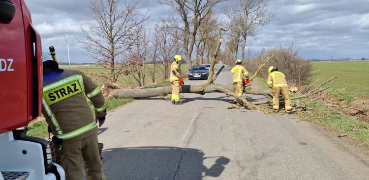 Droga pomiędzy Miłoradzem a Starą Kościelnicą (fot. OSP Miłoradz)