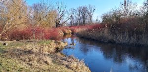 Zdjęcie ilustracyjne (fot. Radio Gdańsk/Marek Nowosad)