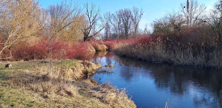 Zdjęcie ilustracyjne (fot. Radio Gdańsk/Marek Nowosad)