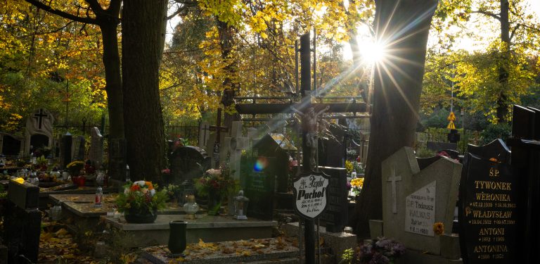 Cmentarz Oliwski w Gdańsku, zdjęcie ilustracyjne (fot. Anna Rezulak / KFP)