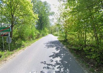 Droga powiatowa z Ciekocina do Kurowa, zdjęcie archiwalne (fot. Google Street View)