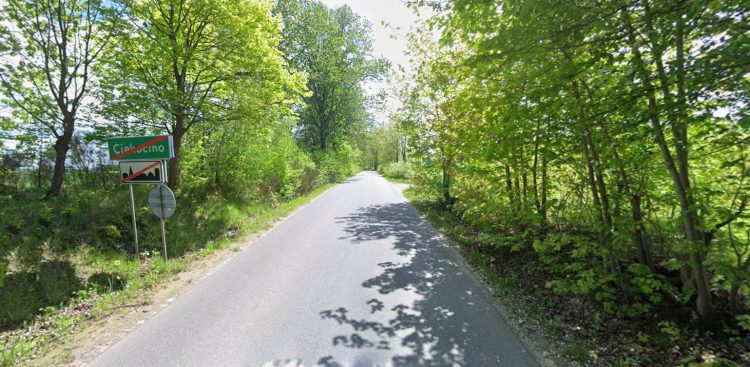 Droga powiatowa z Ciekocina do Kurowa, zdjęcie archiwalne (fot. Google Street View)