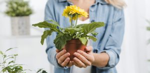 Zdjęcie ilustracyjne (fot. Freepik)