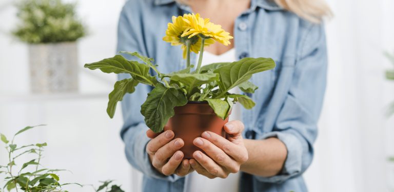 Zdjęcie ilustracyjne (fot. Freepik)