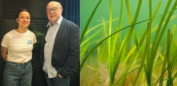 (fot. Fundacja MARE)