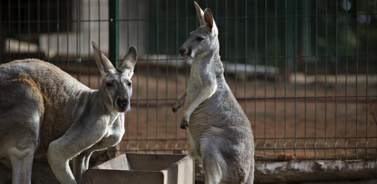 (fot. Krzysztof Mystkowski / KFP)
