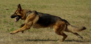 Zdjęcie ilustracyjne (fot. Freepik)