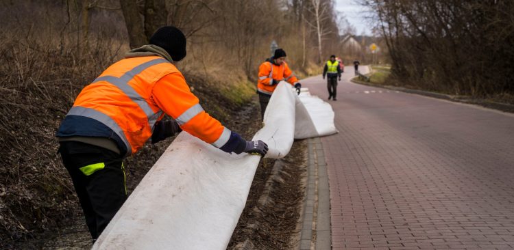 (fot. Gmina Pruszcz Gdański)