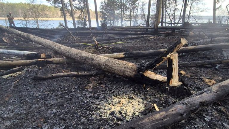 (fot. Radio Gdańsk/Maria Sowisło)