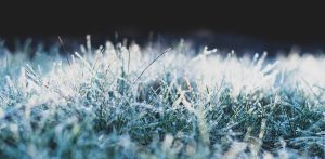 Zdjęcie ilustracyjne (fot. Pixabay)