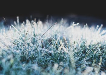 Zdjęcie ilustracyjne (fot. Pixabay)