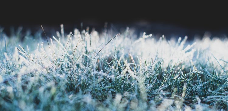 Zdjęcie ilustracyjne (fot. Pixabay)