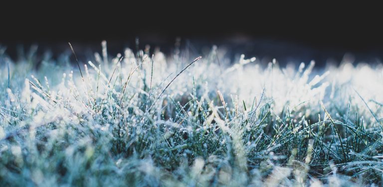 Zdjęcie ilustracyjne (fot. Pixabay)