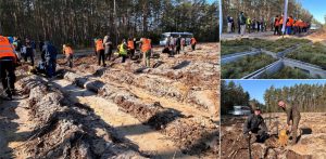 (fot. Nadleśnictwo Rytel)