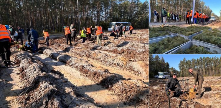 (fot. Nadleśnictwo Rytel)